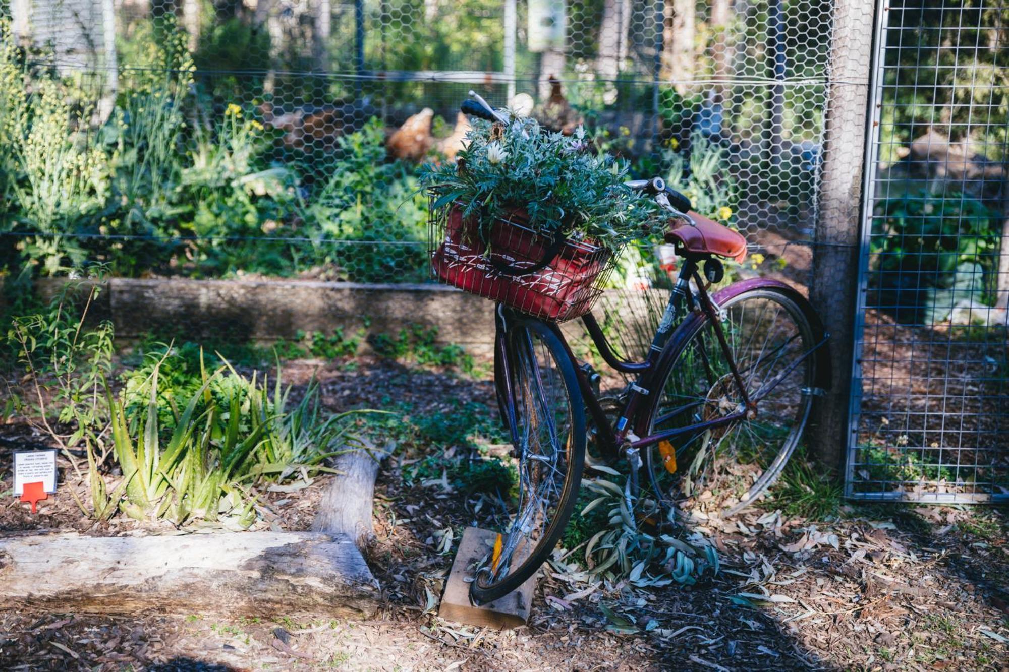 Bombah Point Eco Cottages Bulahdelah Bagian luar foto