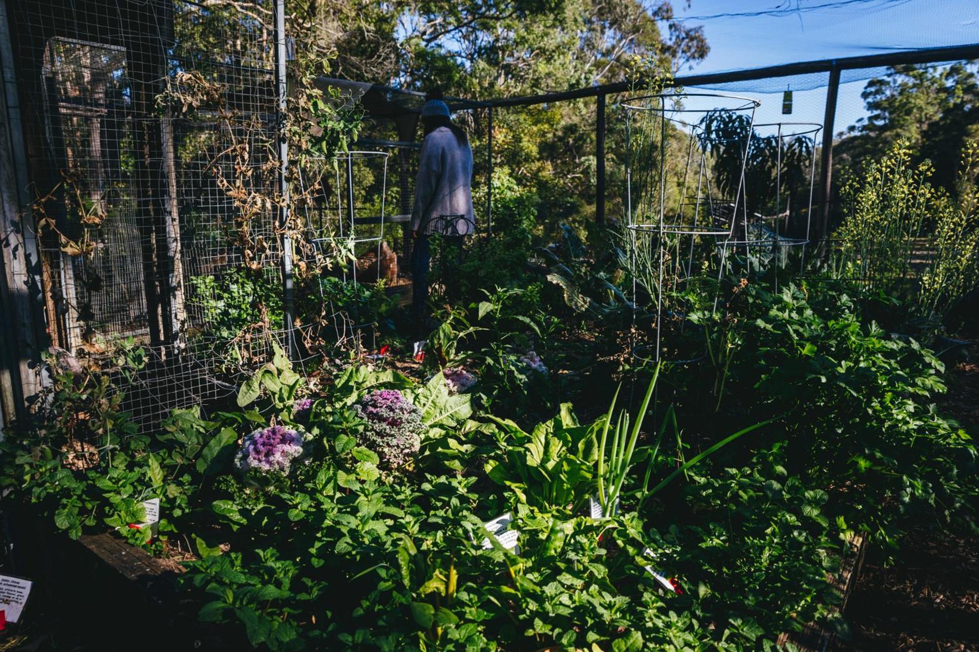 Bombah Point Eco Cottages Bulahdelah Bagian luar foto
